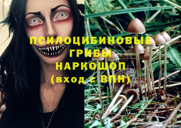 мдма Вяземский