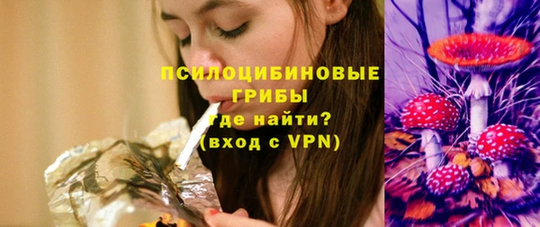 бошки Володарск