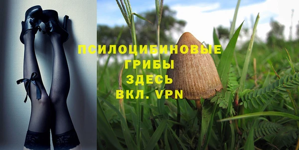 трава Вязьма