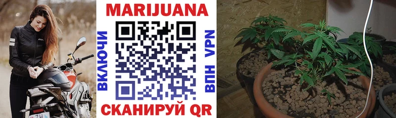 Бошки марихуана LSD WEED Нижнекамск